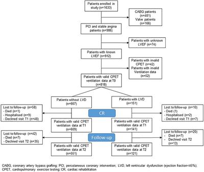 Breathing pattern and pulmonary gas exchange in elderly patients with and without left ventricular dysfunction—modification with exercise-based cardiac rehabilitation and prognostic value